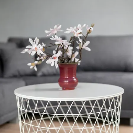 Apartment Family Malta By Renters Posen