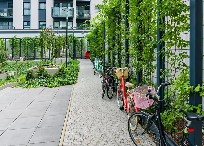 Family Malta By Renters *